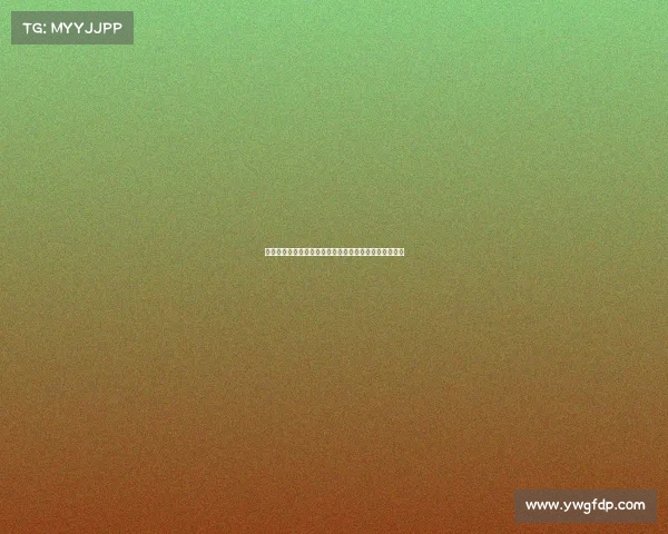 赛事登记员全面解析：职责技能挑战与未来发展路径详解